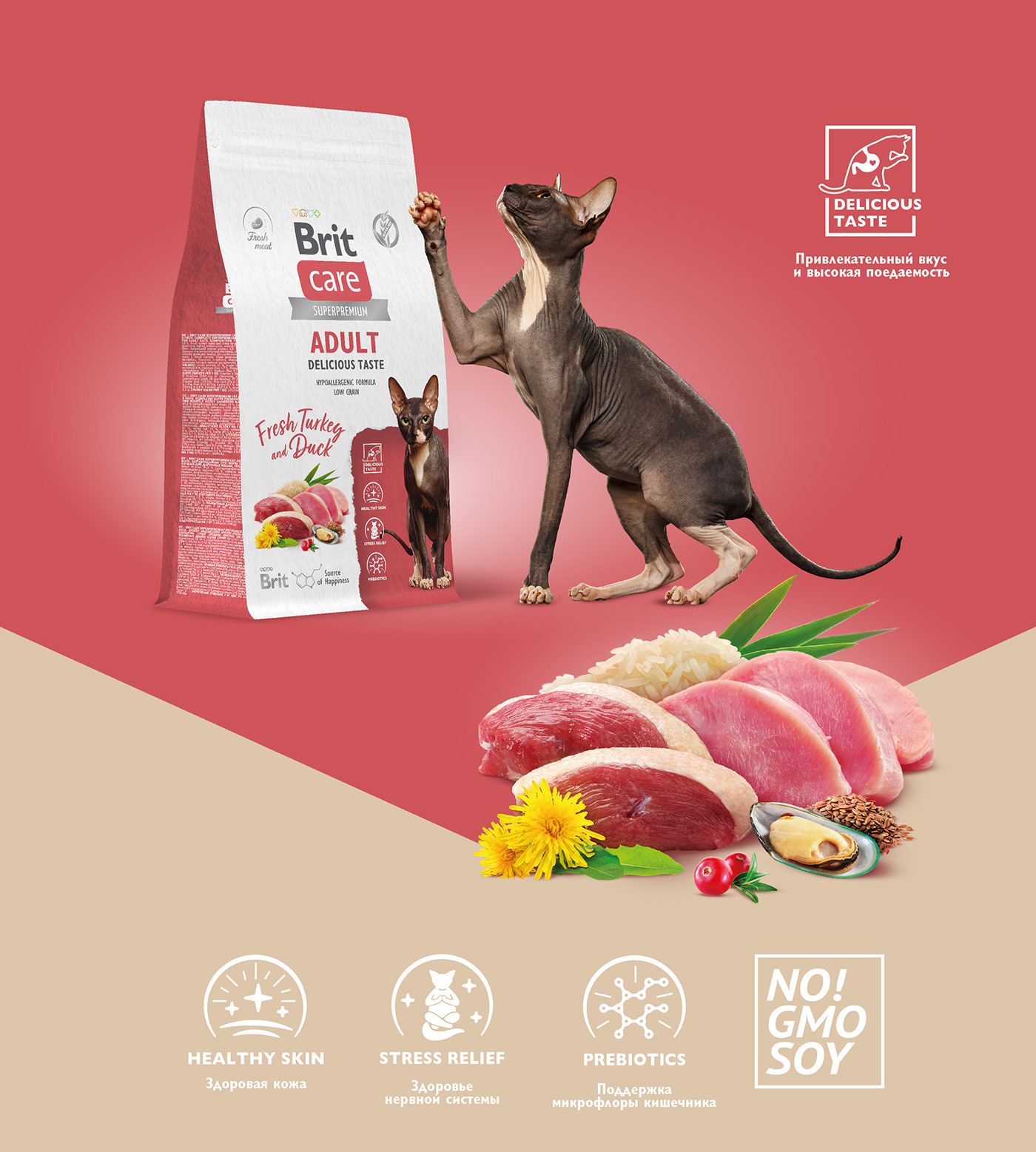 Pet pet food Pet Food Packaging Cat cat food dog dog food Packaging packaging design dry pet food