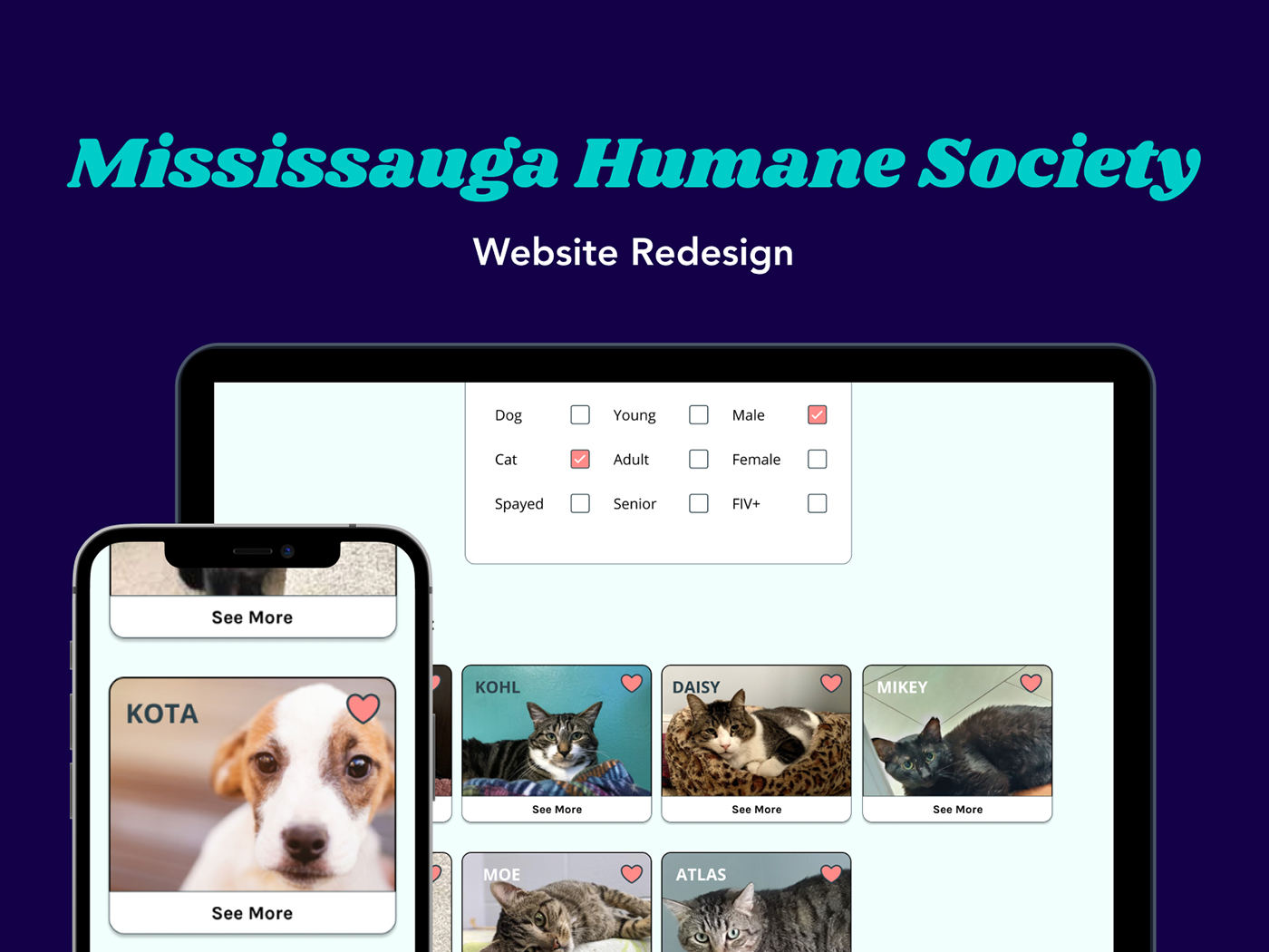 animal shelter info architecture mobile design non-profit user interface design UX design Web Design 