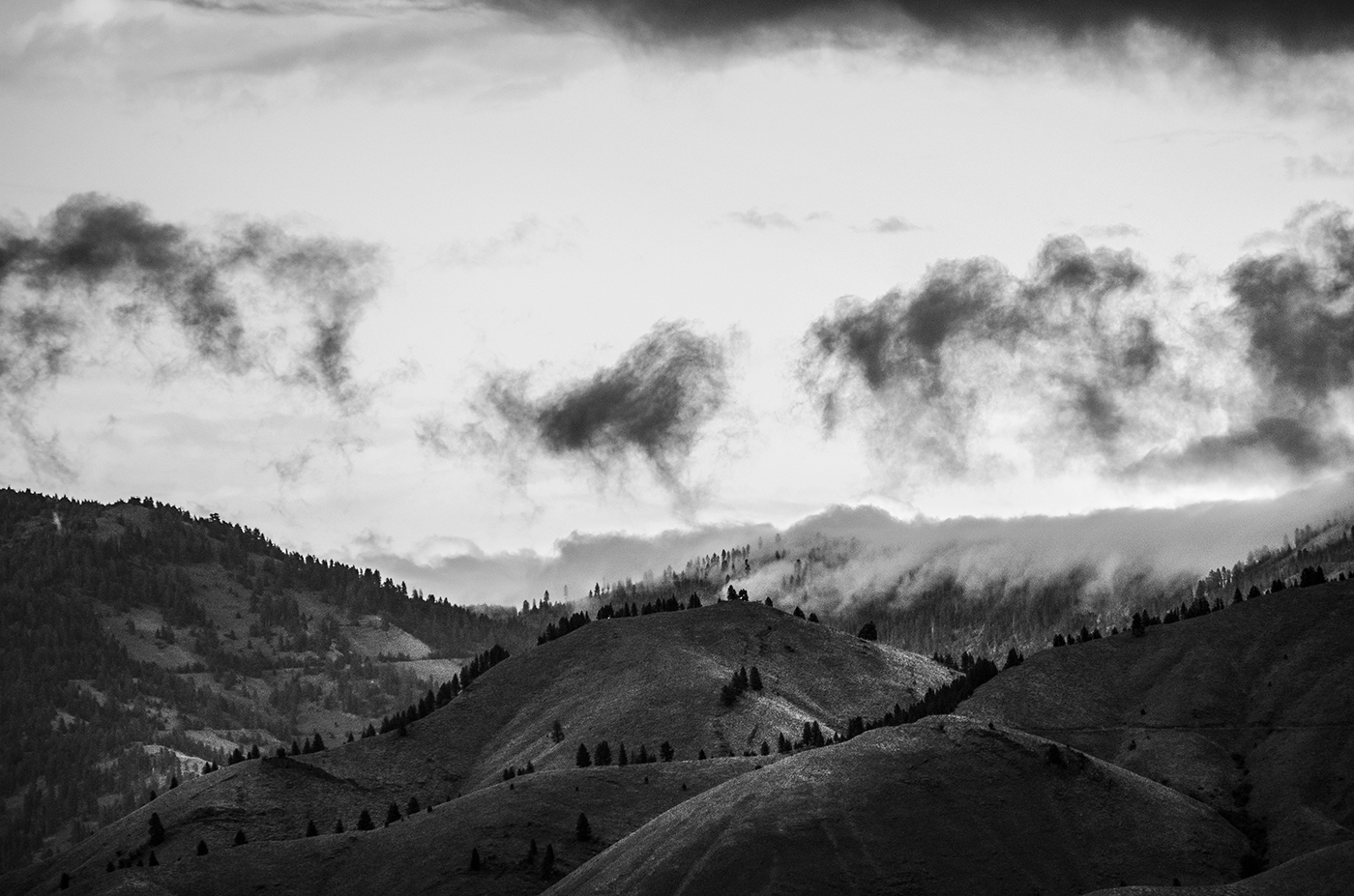 Photography  Nikon black and white Nature mountain Idaho ansel adams exploration photographer river