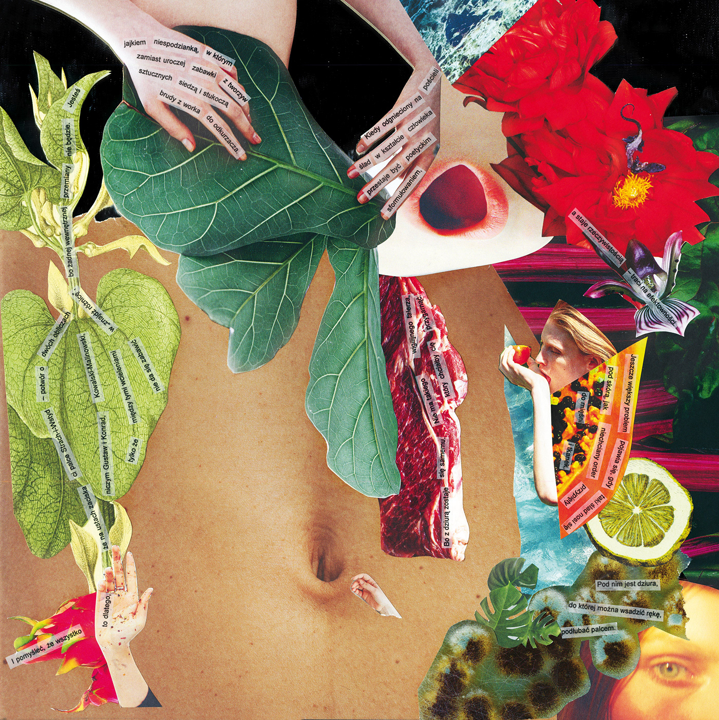collage analog collage textual materialism visual arts  literature Word&Image