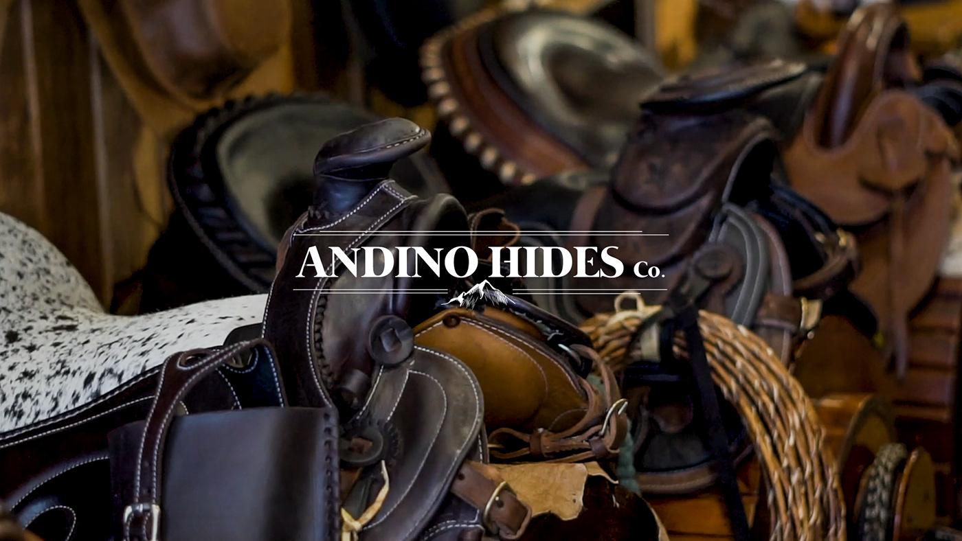 Andean andino branding  Branding design Landscape leather logo visual identity