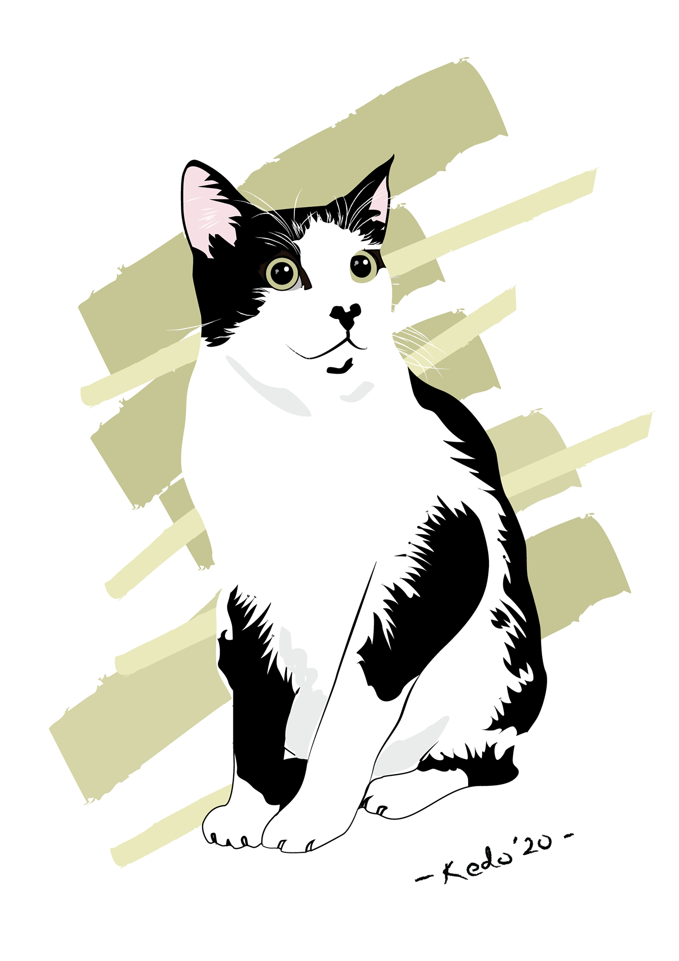 Cat Illustrator Pet vector graphic