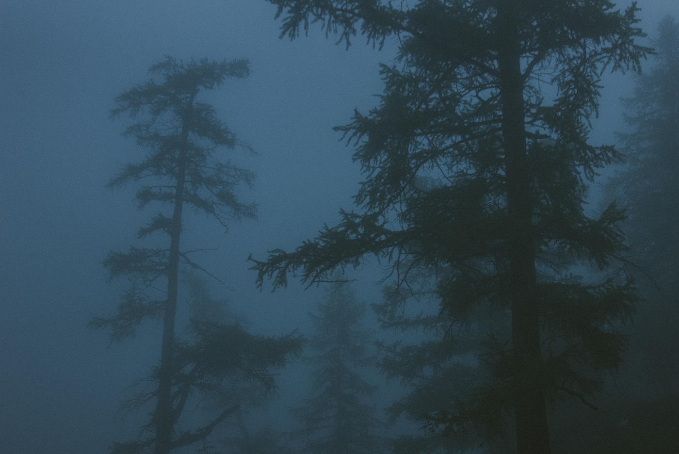 cinematic dark explore fog folk Landscape Minimalism mountains Nature valley