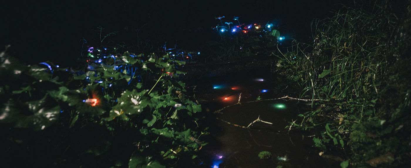 light light design installation light art forest led