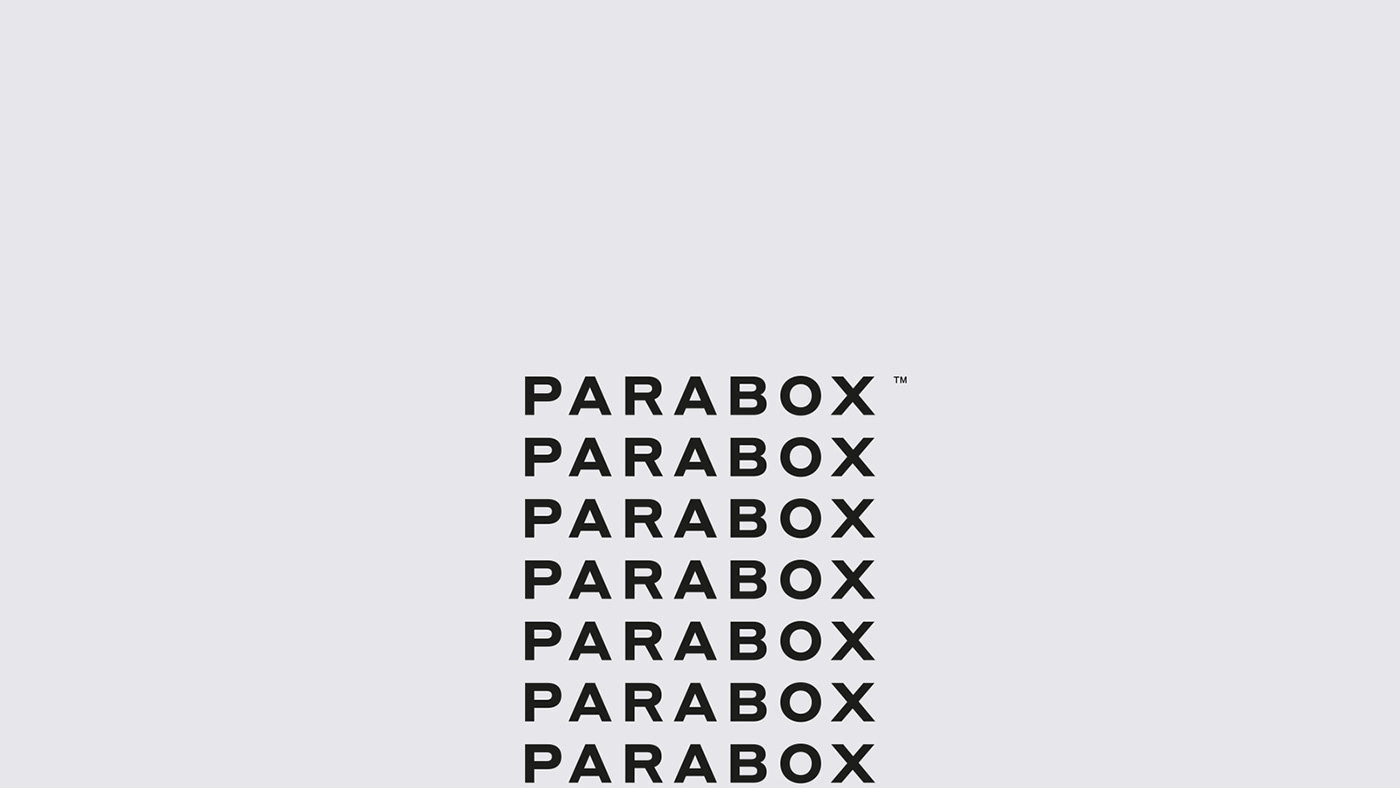 parabox consultants consultant institutional minimalist gray Mexican Branding Education scholars