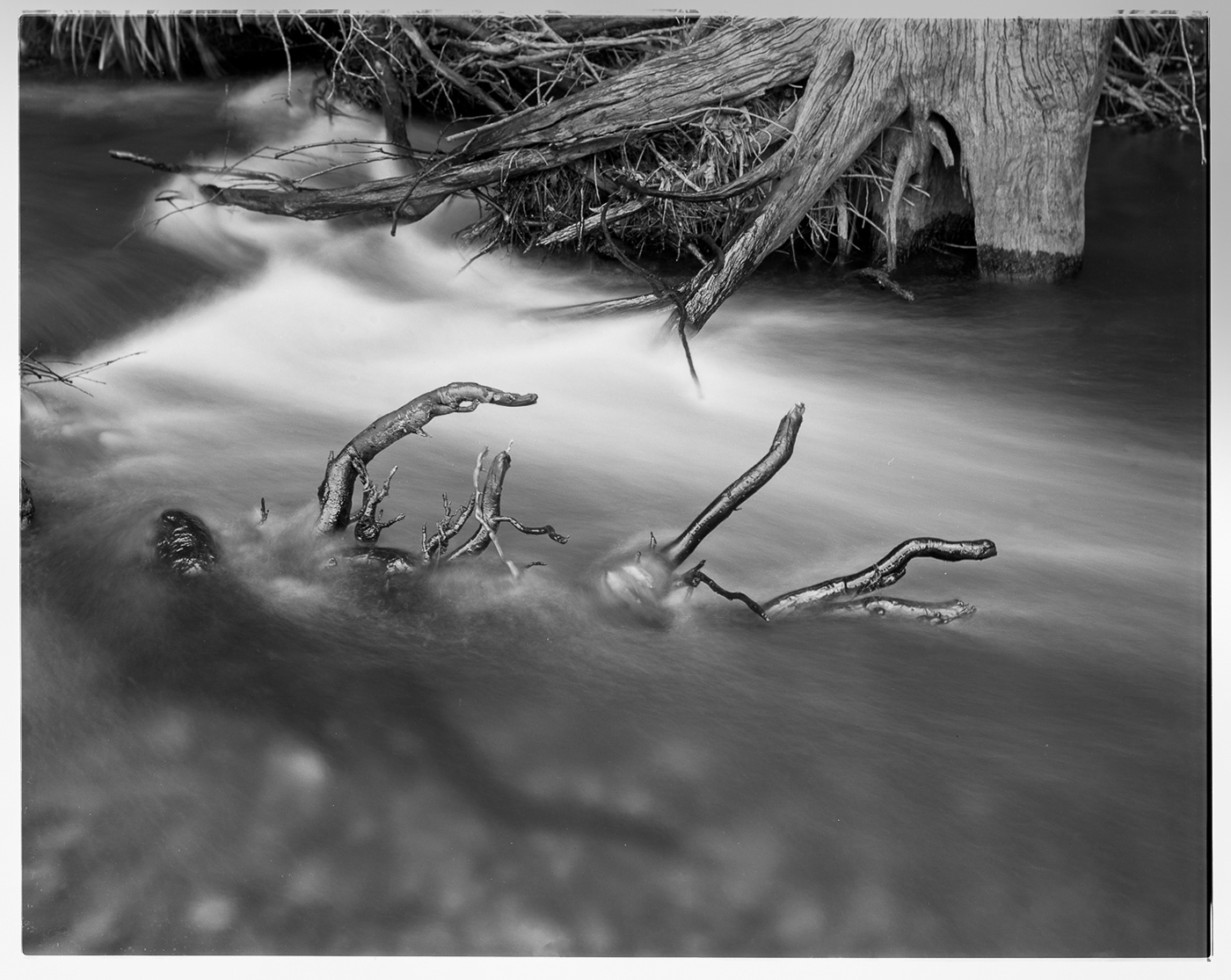 water Photography  Landscape film photography black and white large format 4x5 Shanghai GP3