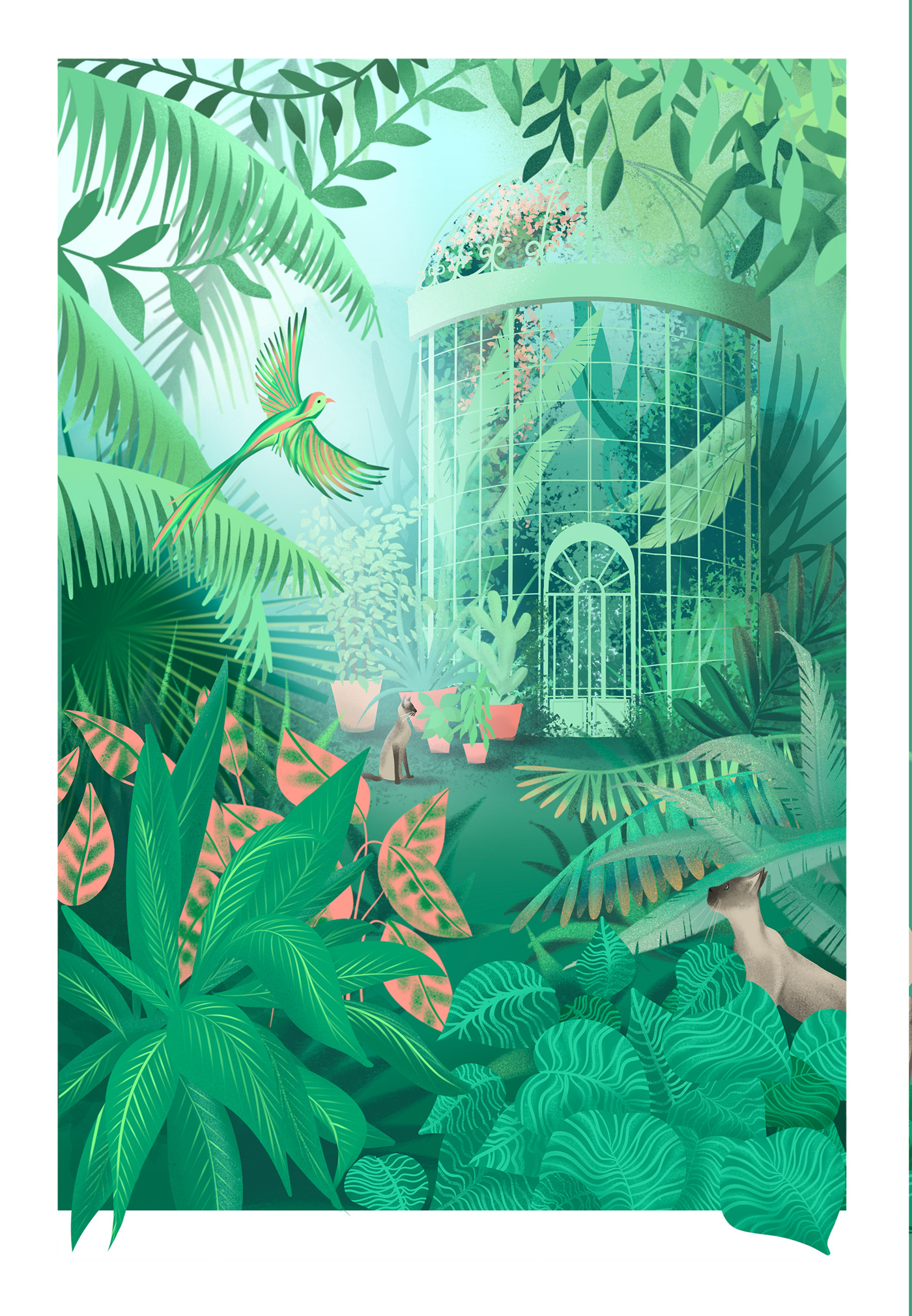 Digital Art  Procreate digital illustration plants illustration paradise plants Nature gardenillustration greenhouse Tropical Design