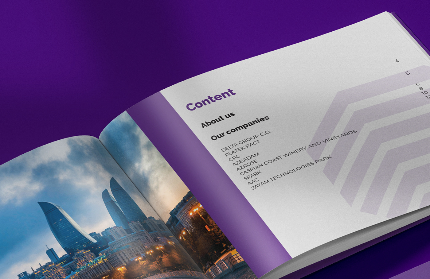 Brand Design catalog Catalogue companies editorial infographic Layout print printdesign Printing