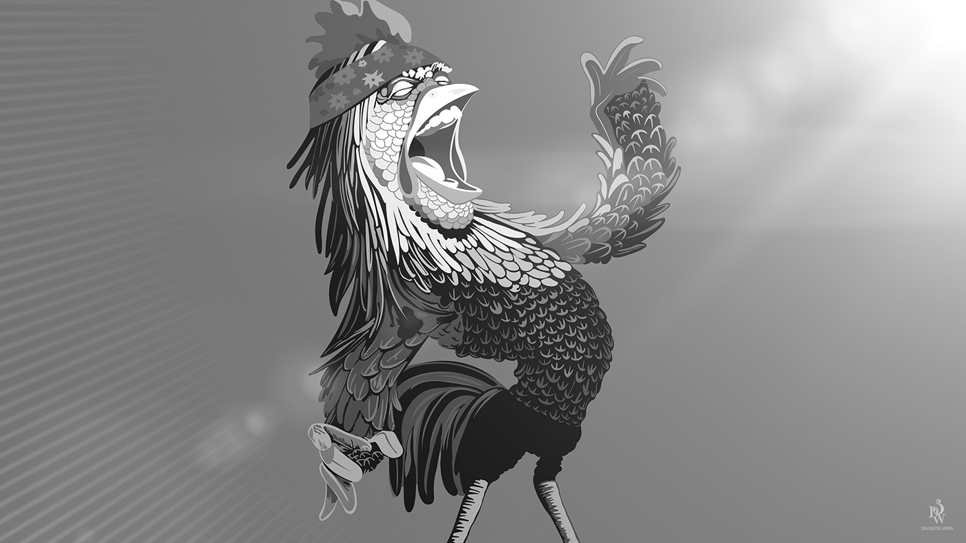 Rooster Character digital ILLUSTRATION  2D animation  digital drawings