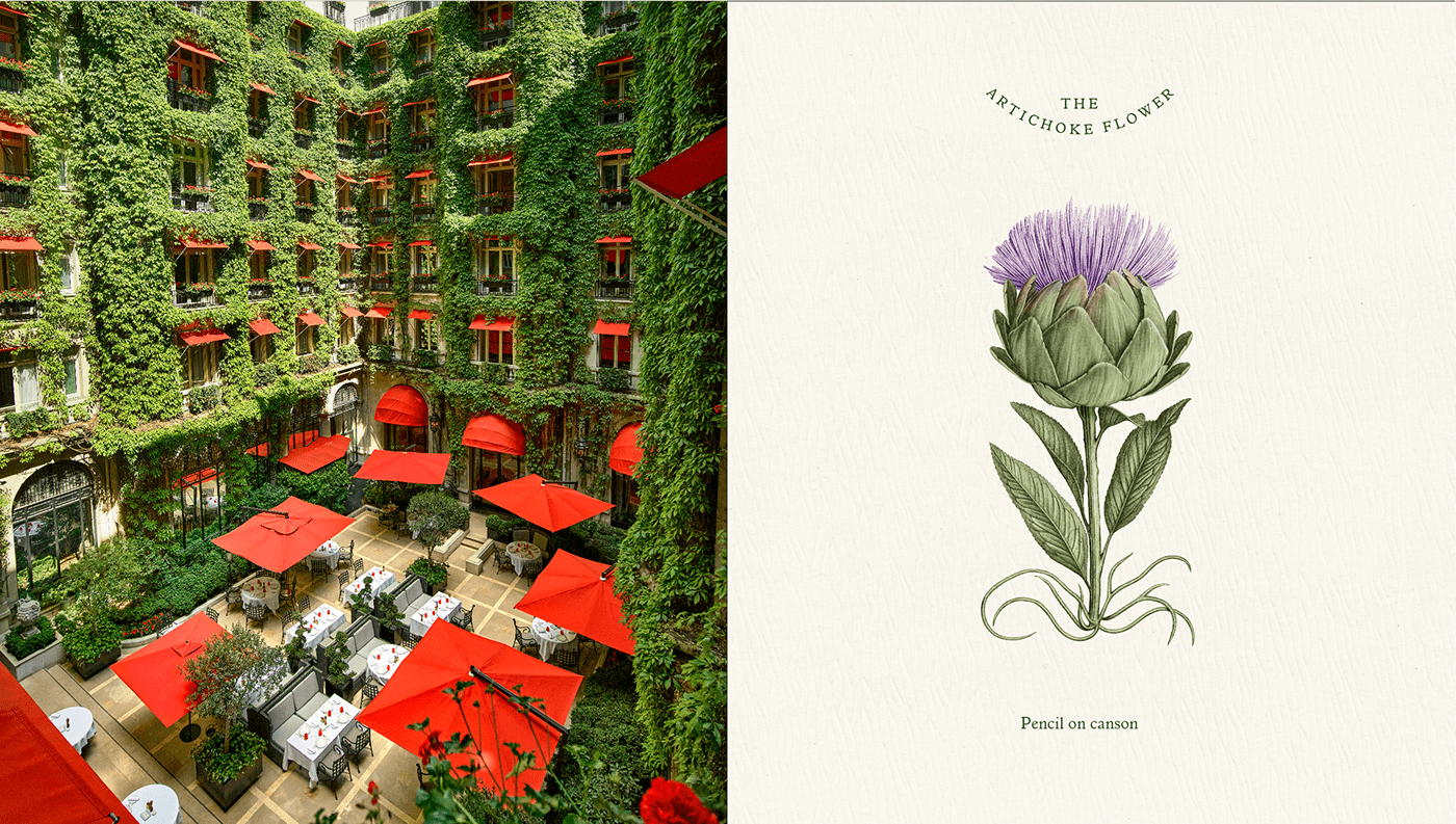 branding  flower hotel ILLUSTRATION  Logotype luxury Plaza Athénée typography   Violaine&jeremy vjtype