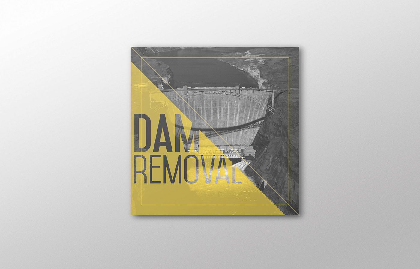 dam Dam Removal Environmental Impacts brochure