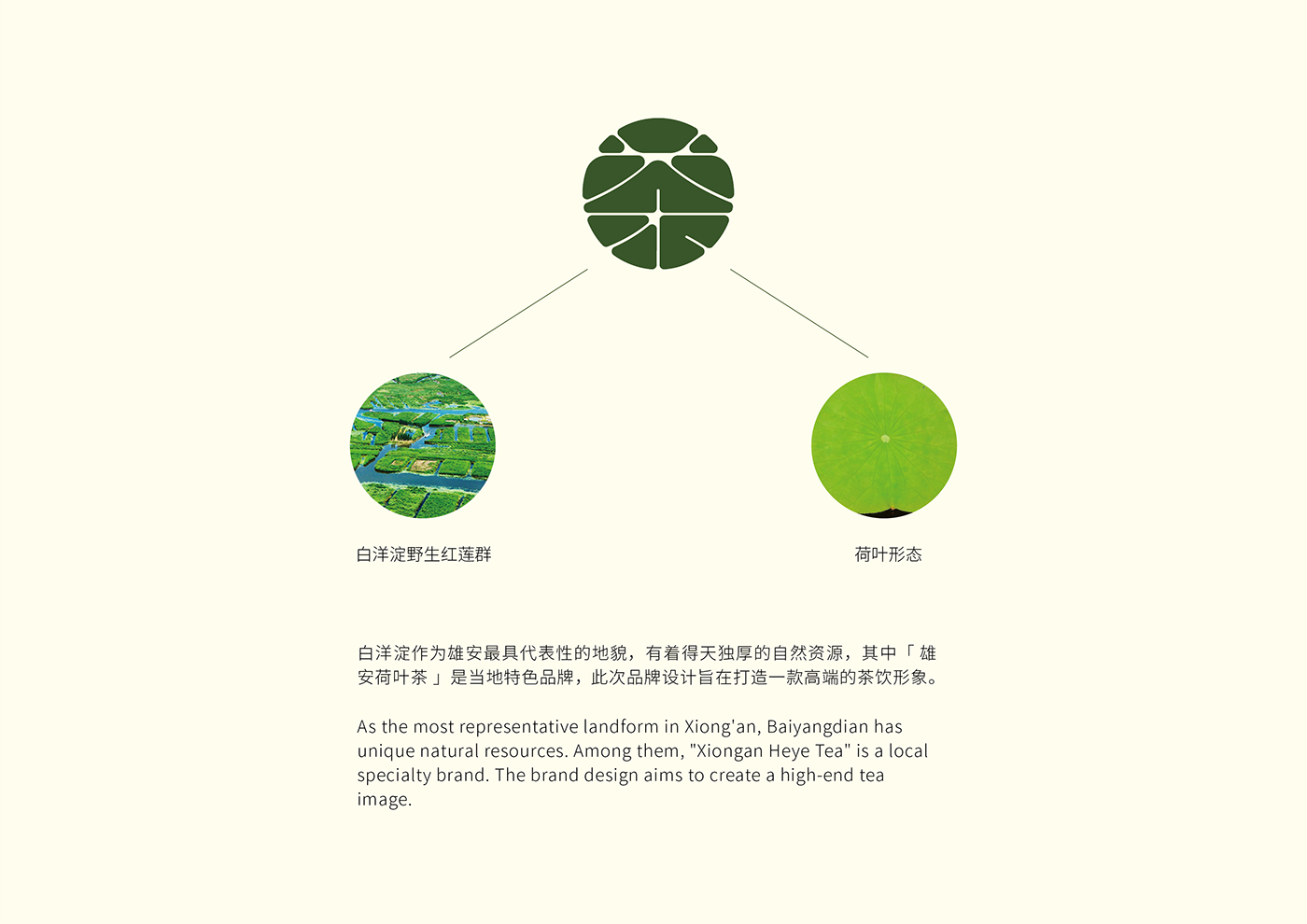 branding  chinese brand logo Logo Design tea typography   中国品牌 标志 茶品牌 荷叶茶