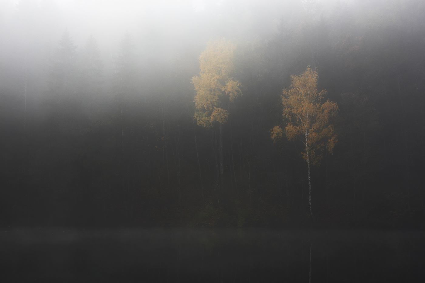 fog Landscape lietuva lithuania Mindaugas Buivydas mist Photography 