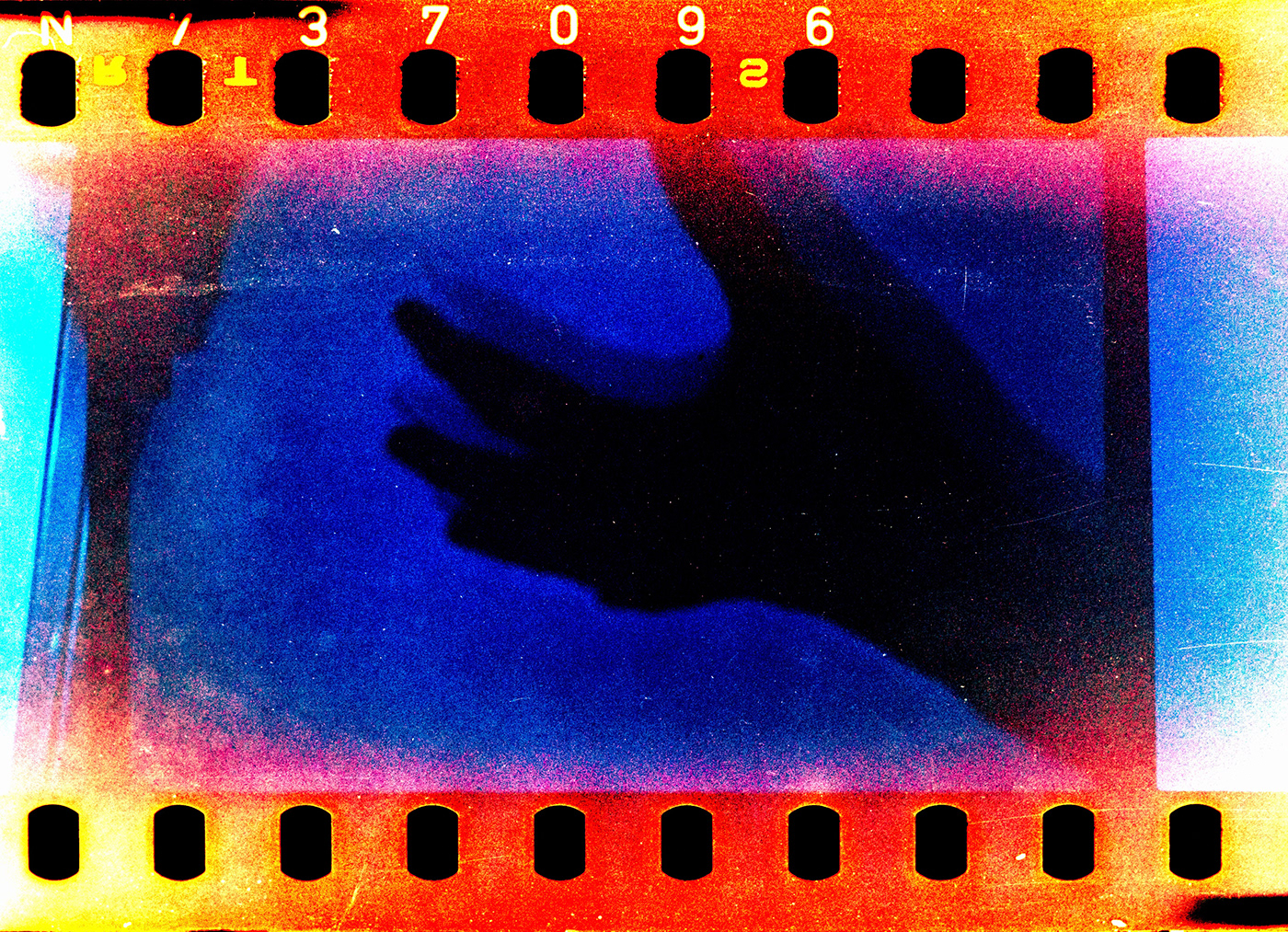 35mm analog analogphoto   darkroom Film   filmphoto Pentax spotmatic