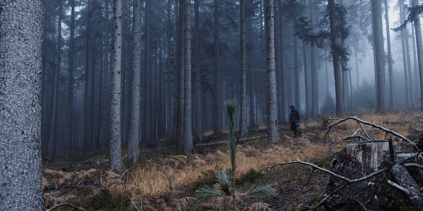 Bavaria cinematography Film   fog forest germany Nature shortfilm videoediting videography