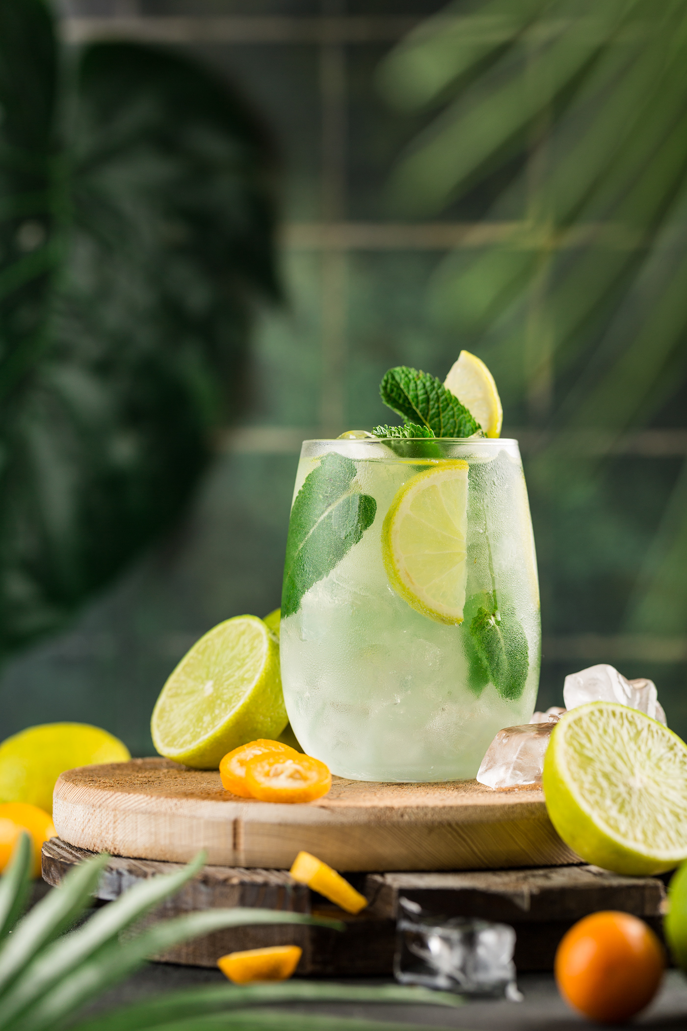 cocktail drinks exotic fresh mojito tropic