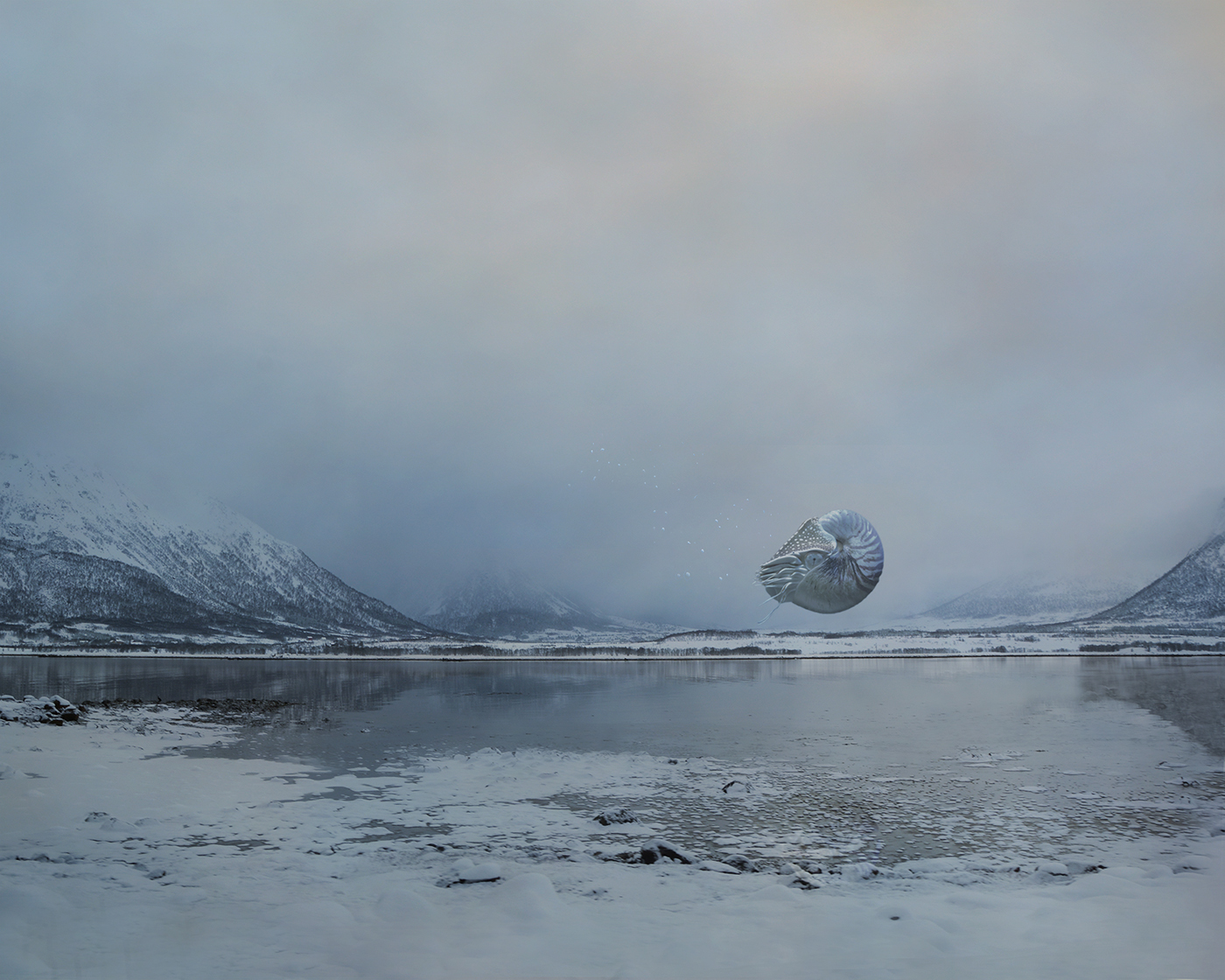 surreal strange juxtaposed fascinating otherworldly Arctic Moody inventive different