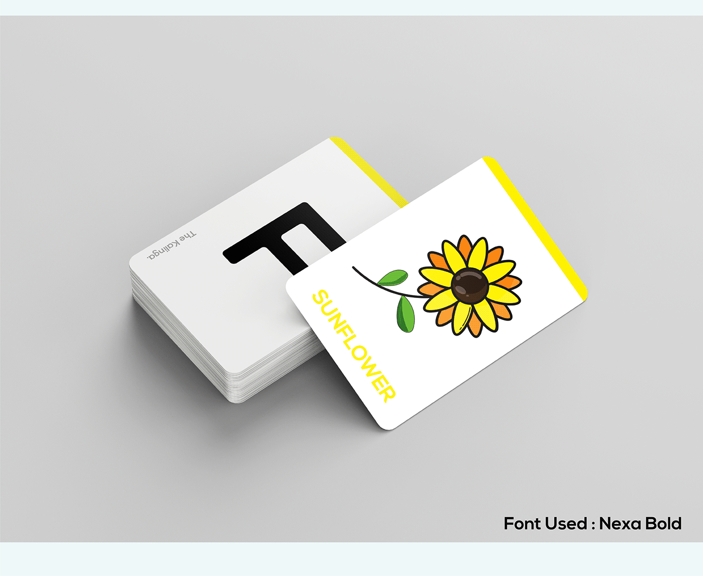 flashcards game graphics graphic design  illustrations kids game