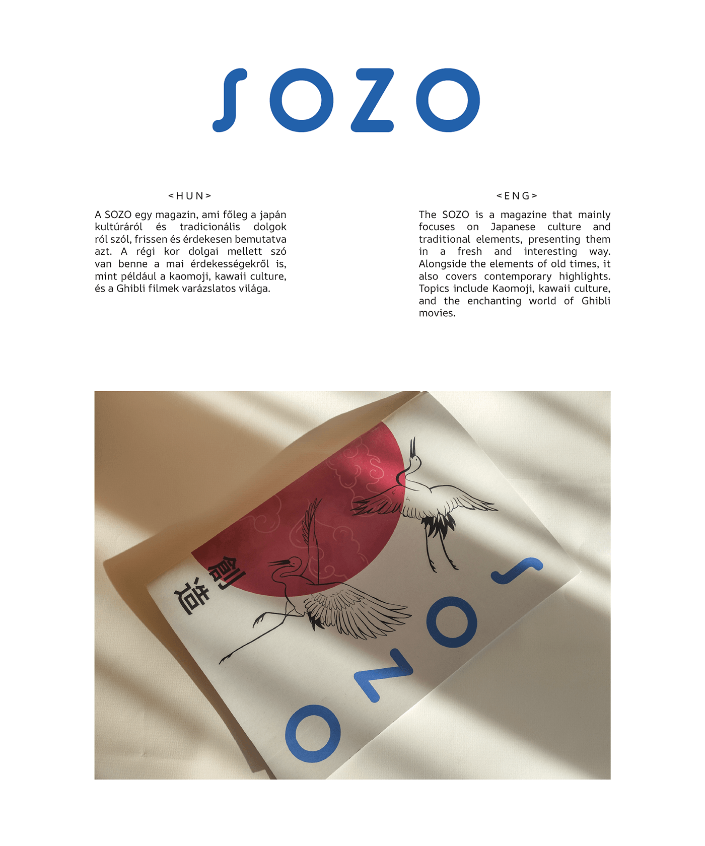 magazine Magazine design print Layout typography   Graphic Designer ILLUSTRATION  InDesign adobe illustrator
