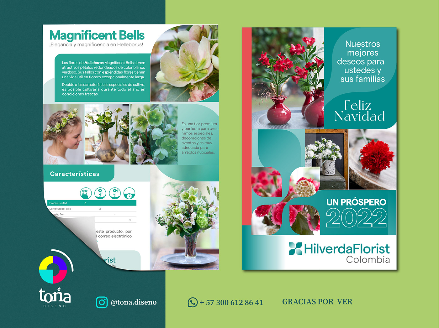 aguamarina brochure editorial design  Flores Flowers Flyer Design magazine Nature