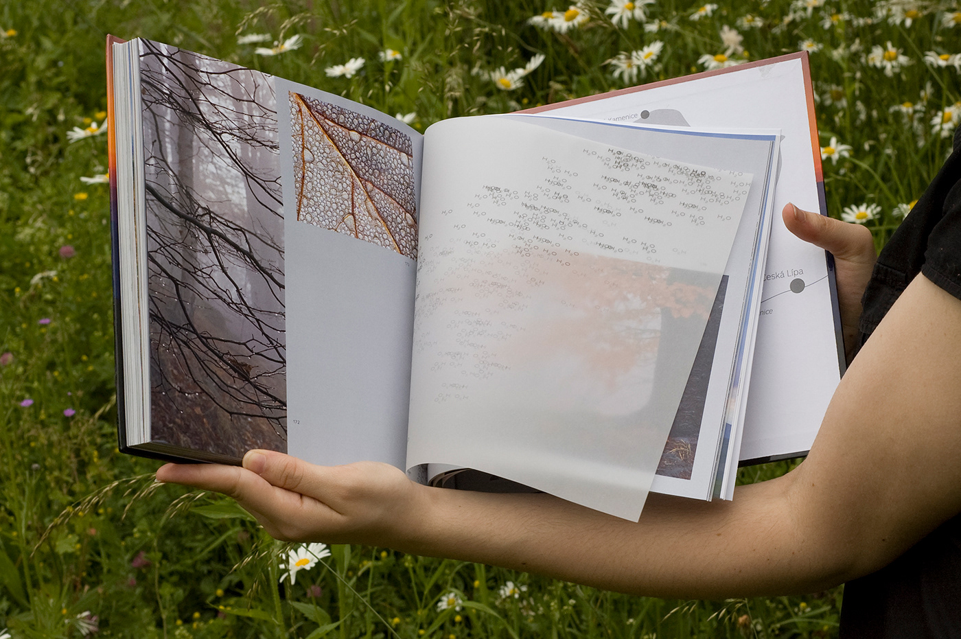book photos Landscape Flora fauna