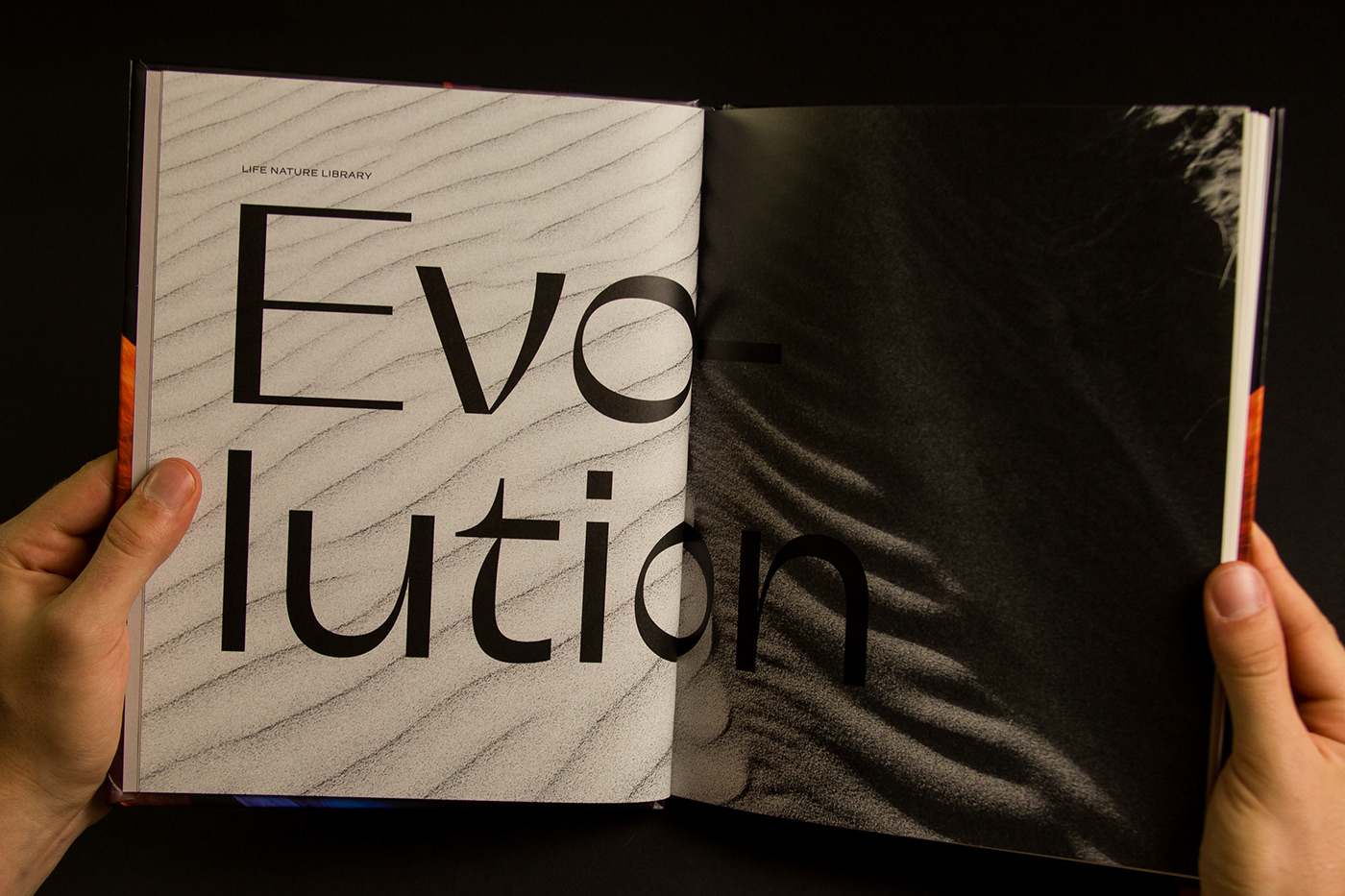 book Bookdesign design editorial editorialdesign graphicdesign hardcover print typography  