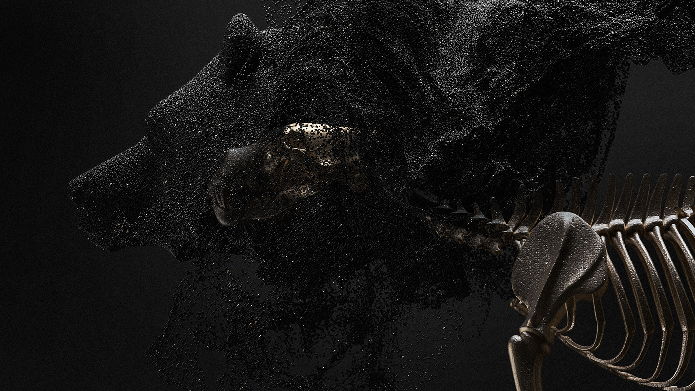 inspire anatomy skeletons national geographic houdini macro 3D particles Renders 3d animation