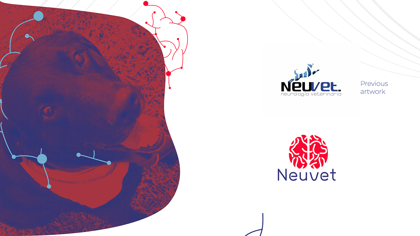 brain david espinosa logo negative space neurologia veterinaria neuvet Nicolás peñuela Pet Healthcare Type Sailor veterinary neurology