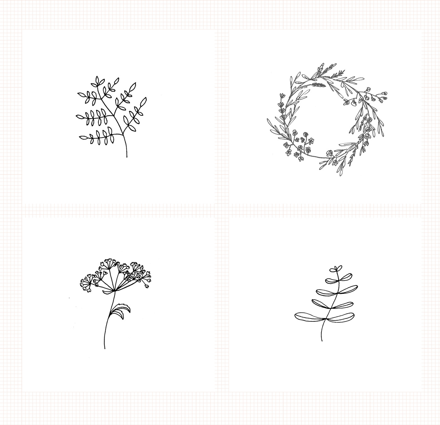 botanical illustration branding  handdrawn elements ILLUSTRATION  Nature outdoors wedding elements