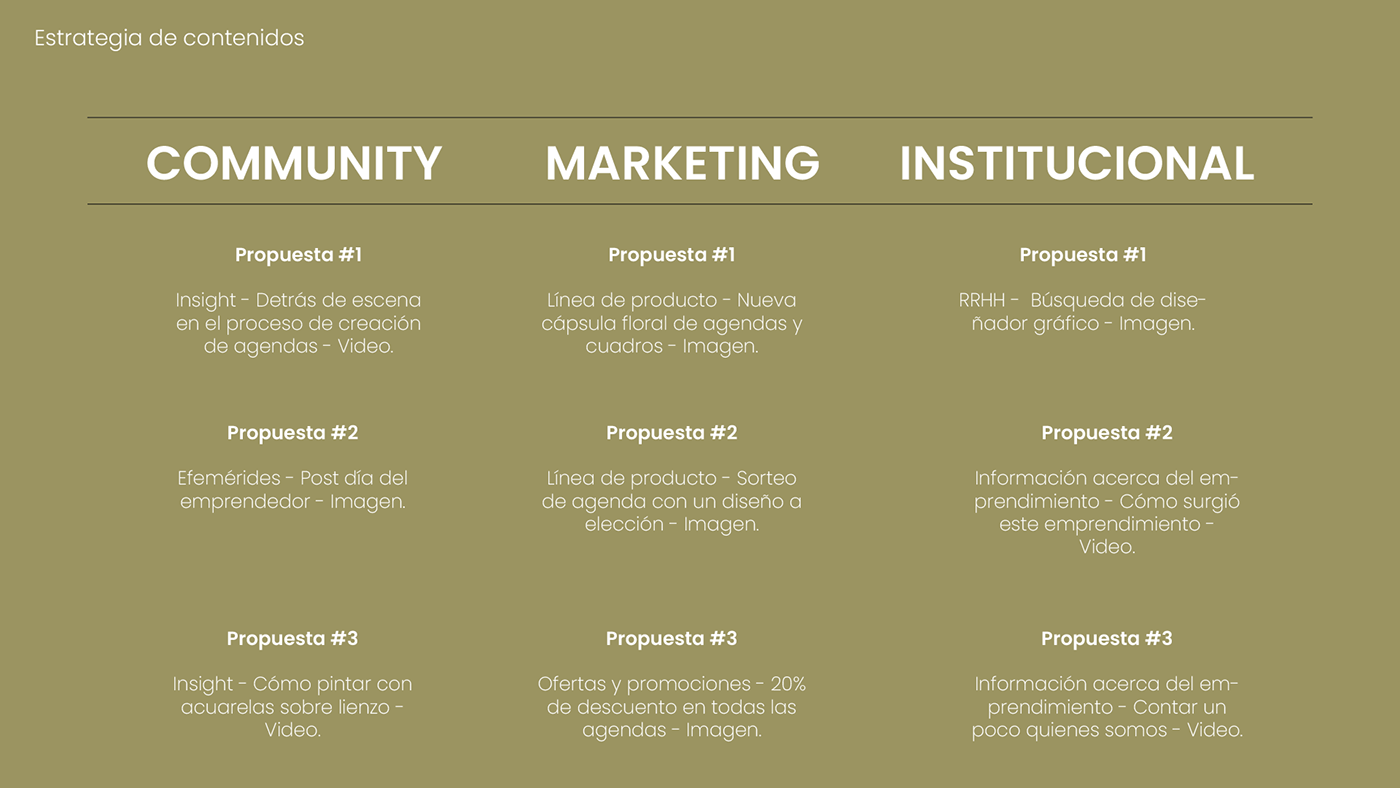 community manager marketing digital plan de marketing Project proyecto publicidad redes sociales Socialmedia student