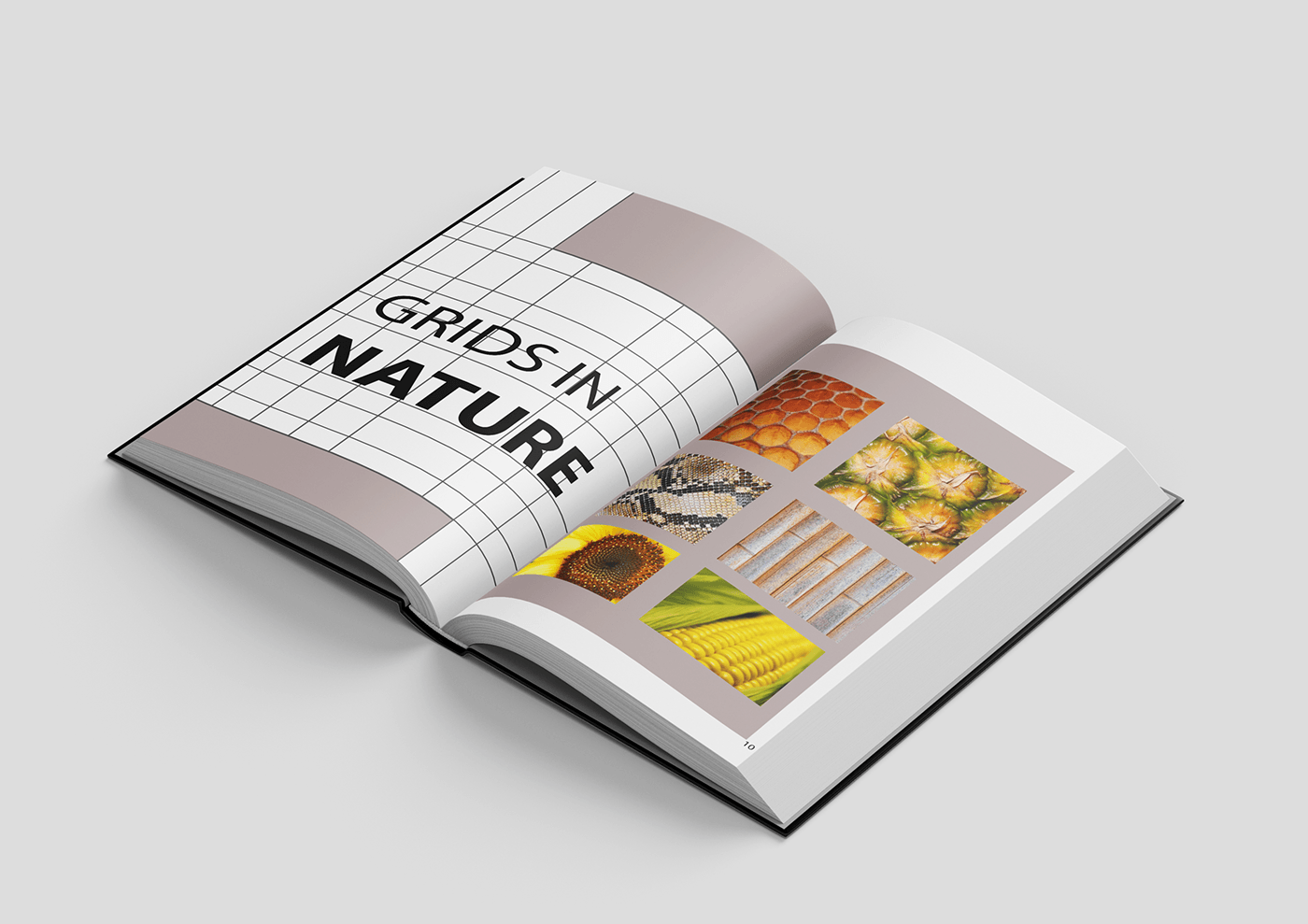 graphic design  grid book Layout print Graphic Designer InDesign book cover book design adobe