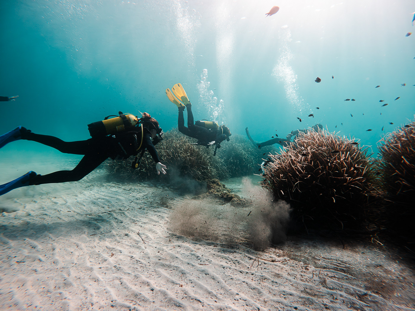 scuba diving diving drone underwater UNDERWATER PHOTOGRAPHY españa Ocean padi scuba PADI CENTER