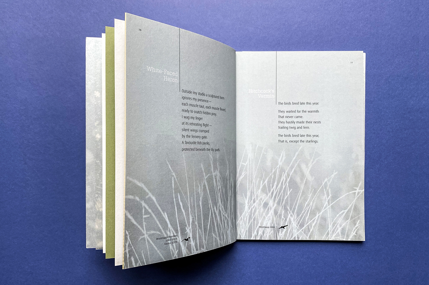 art direction  book design design Imaging eltham Hanging Rock TESS EDWARDS OSBORNE PENINSULA ROYAL FREEMASONS