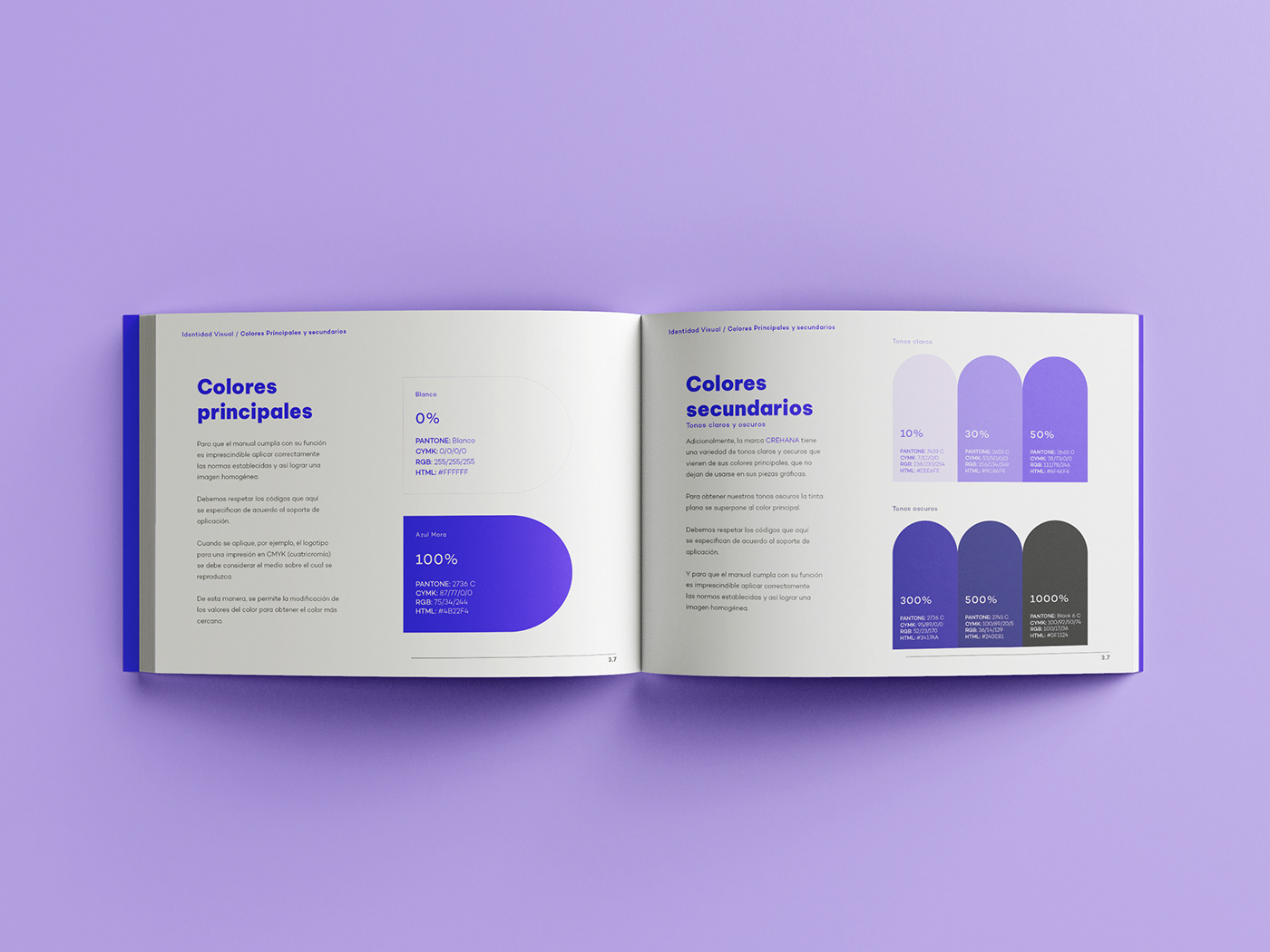 Brand Design brandbook crehana diseño gráfico identidad visual IPP Manual de Marca marca visual identity Identidad Corporativa