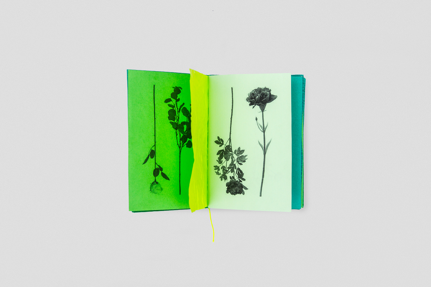 book onebookaweek ikea art flower kunstblume plastic green