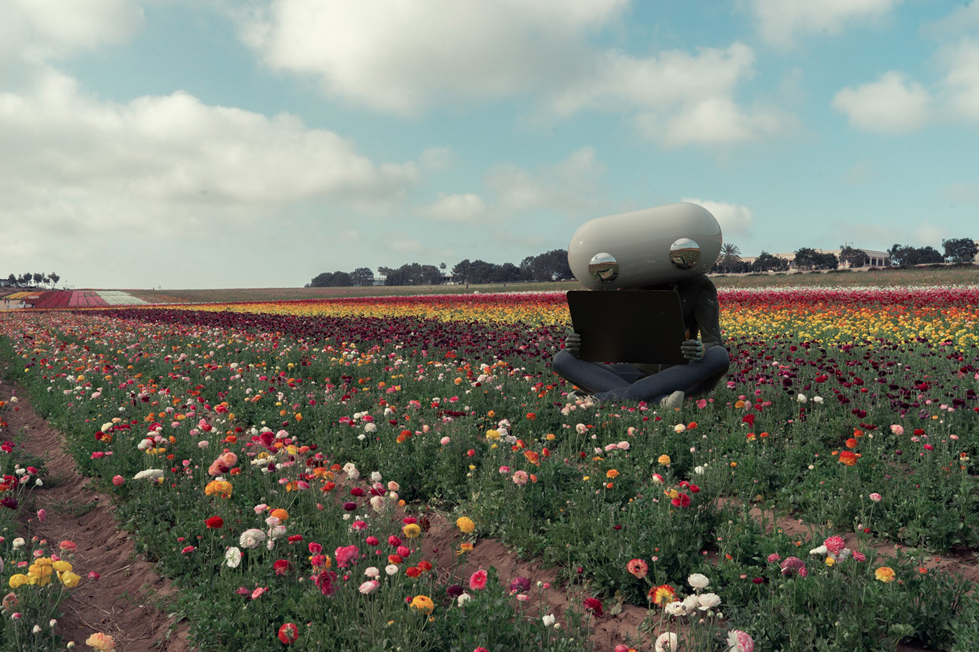 Flowers robots field 3D clouds bots Render