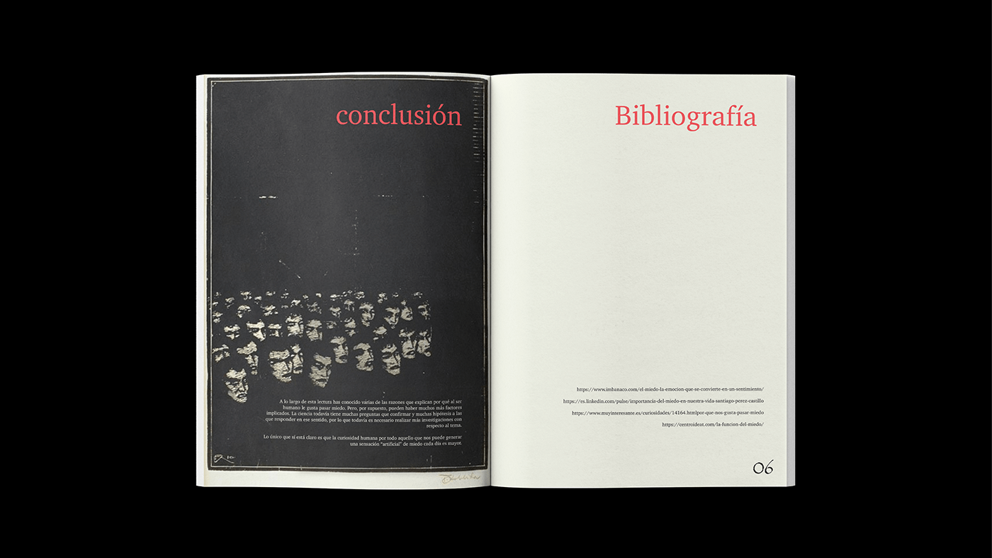 design editorial editorial design  fanzine graphic design  Magazine Cover Magazine design typography  