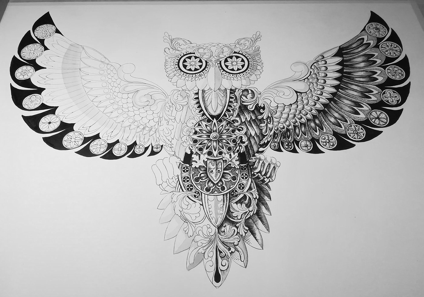bird White Drawing  penandink zentangle ink black and white Nature black owl