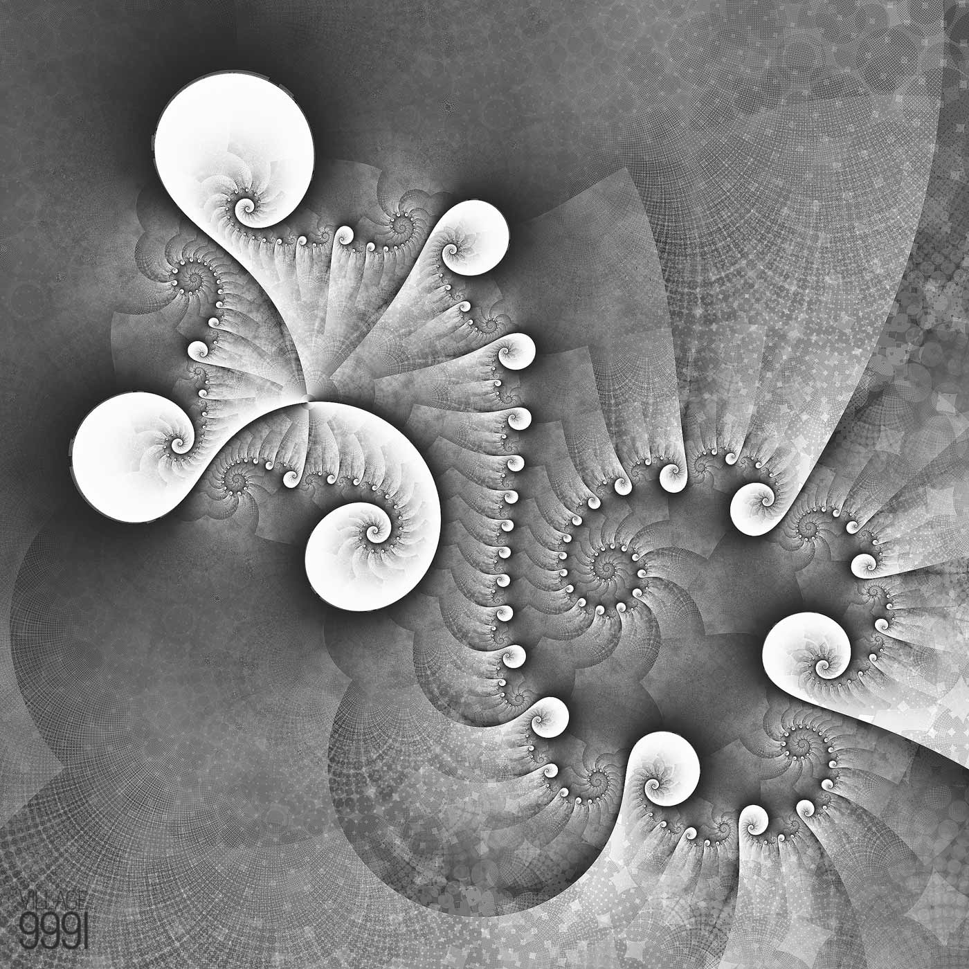 bnw complex fractal geometry graphics ILLUSTRATION 