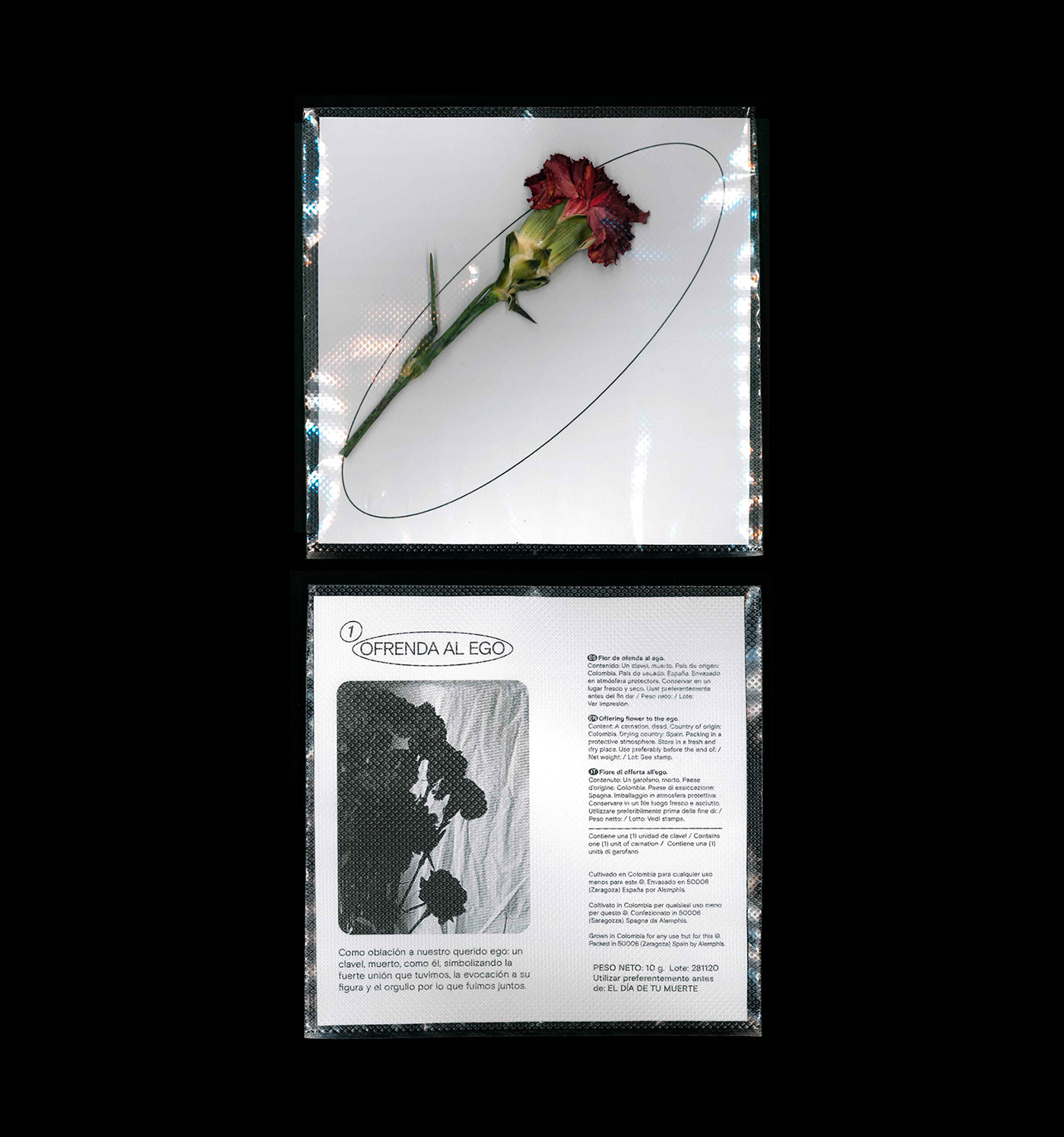 kitsch flower graphic design  print Zine  funeral editorial