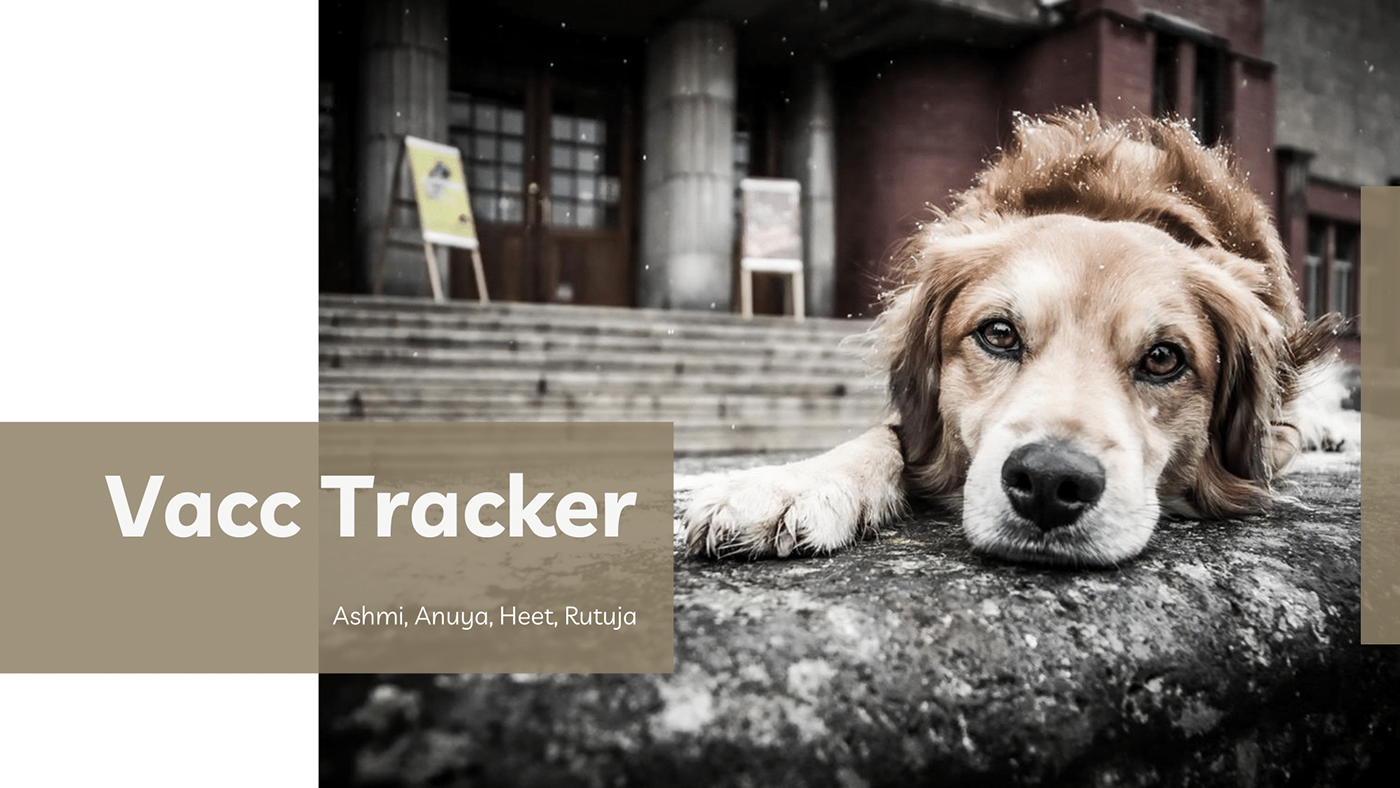 design process design thinking dogs pets research Stray Dogs tracker tracking vaccine