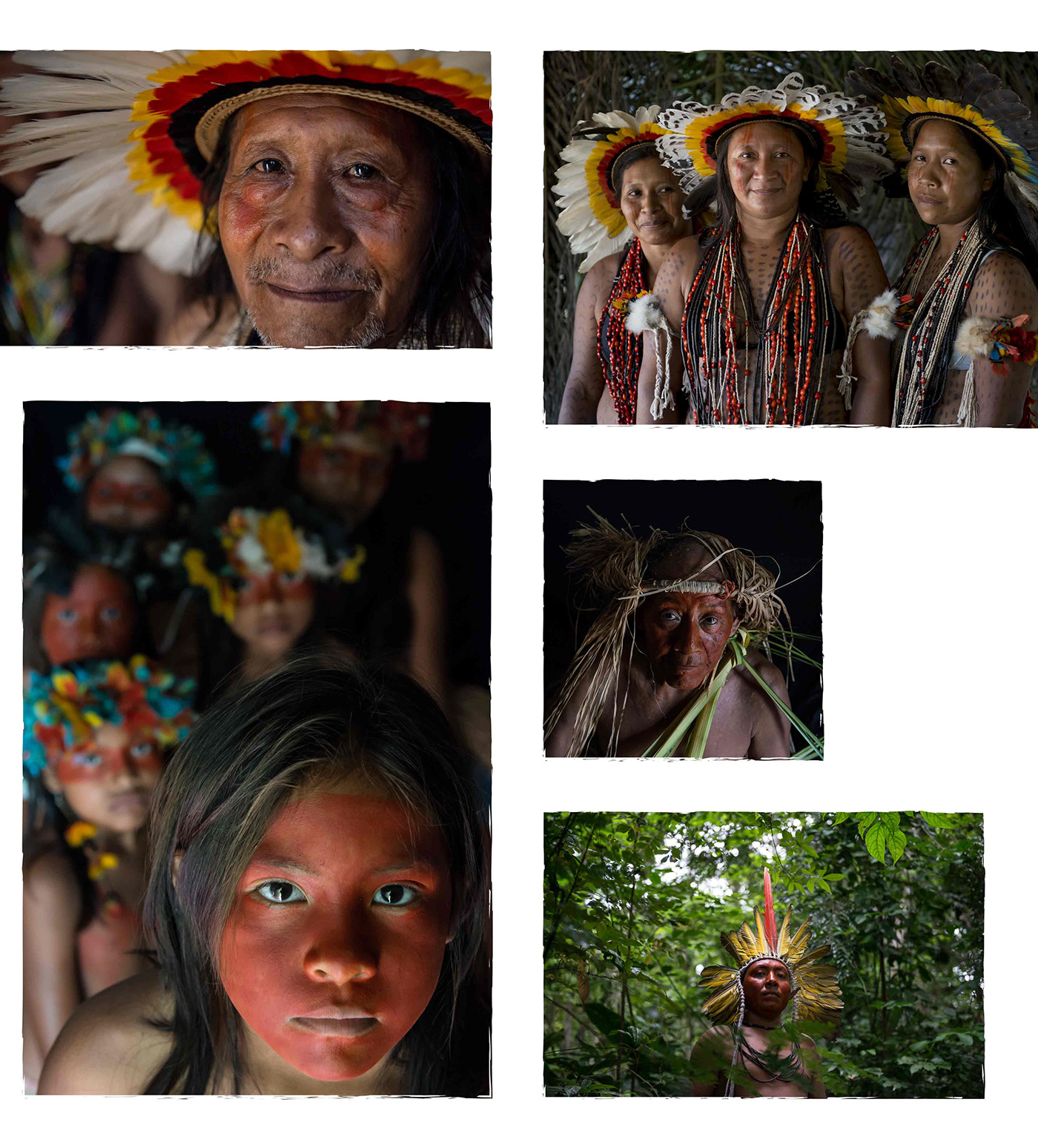 Adobe Portfolio amazonia brand design eco ecologia Ecology floresta forest france graphic design  indian Indigenas logo marque name naming Seine et Marne