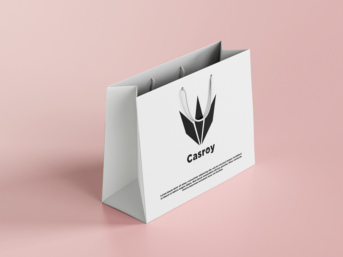 Image contains: Chic shopping bag design for Casroy brand by Humza DZN.
