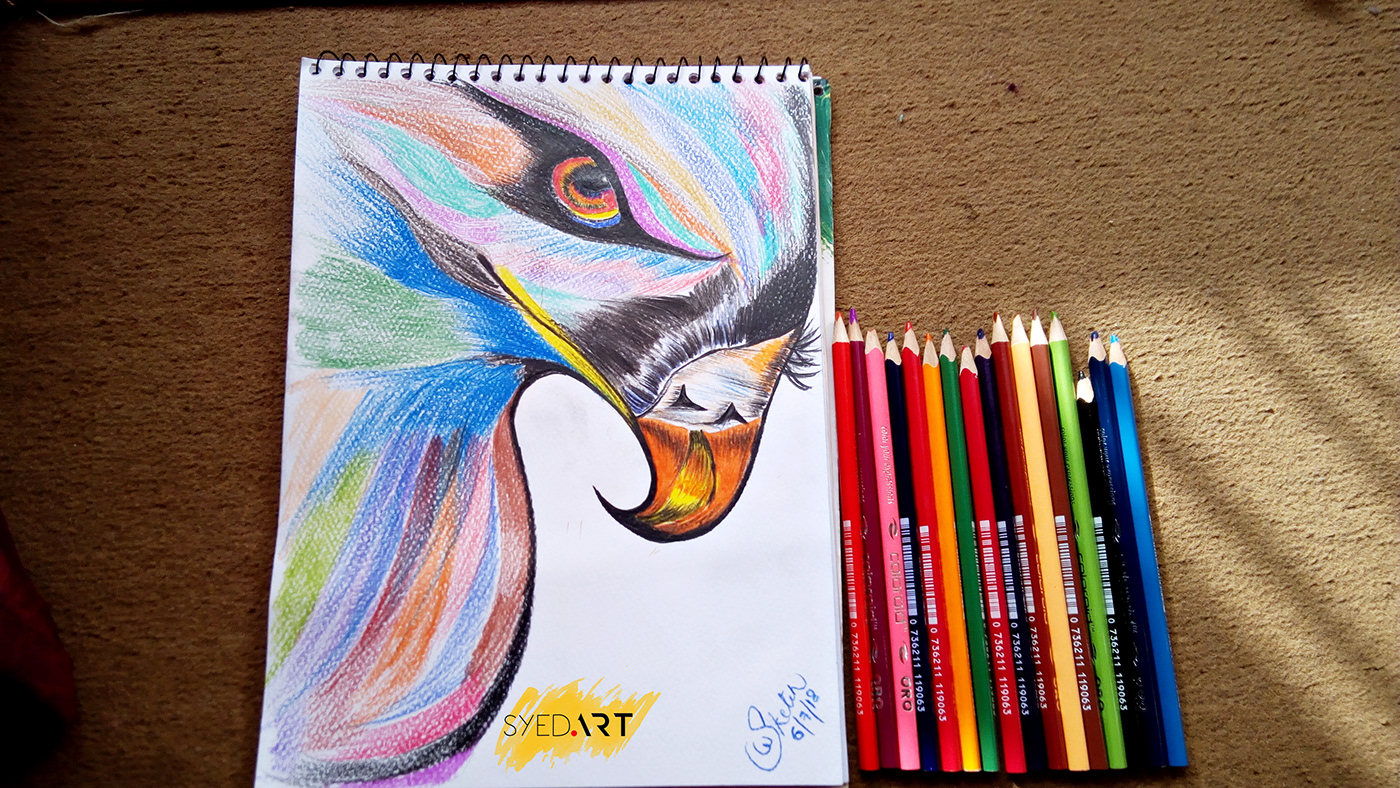 Drawing  art artist Charcoal Drawing color drawing eagle drawing Color pencil drawing faber castell drawing Syed Art