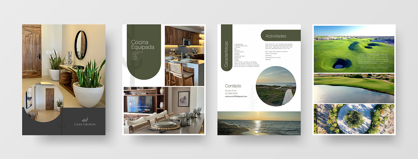 brochure brochure design editorial Graphic Designer