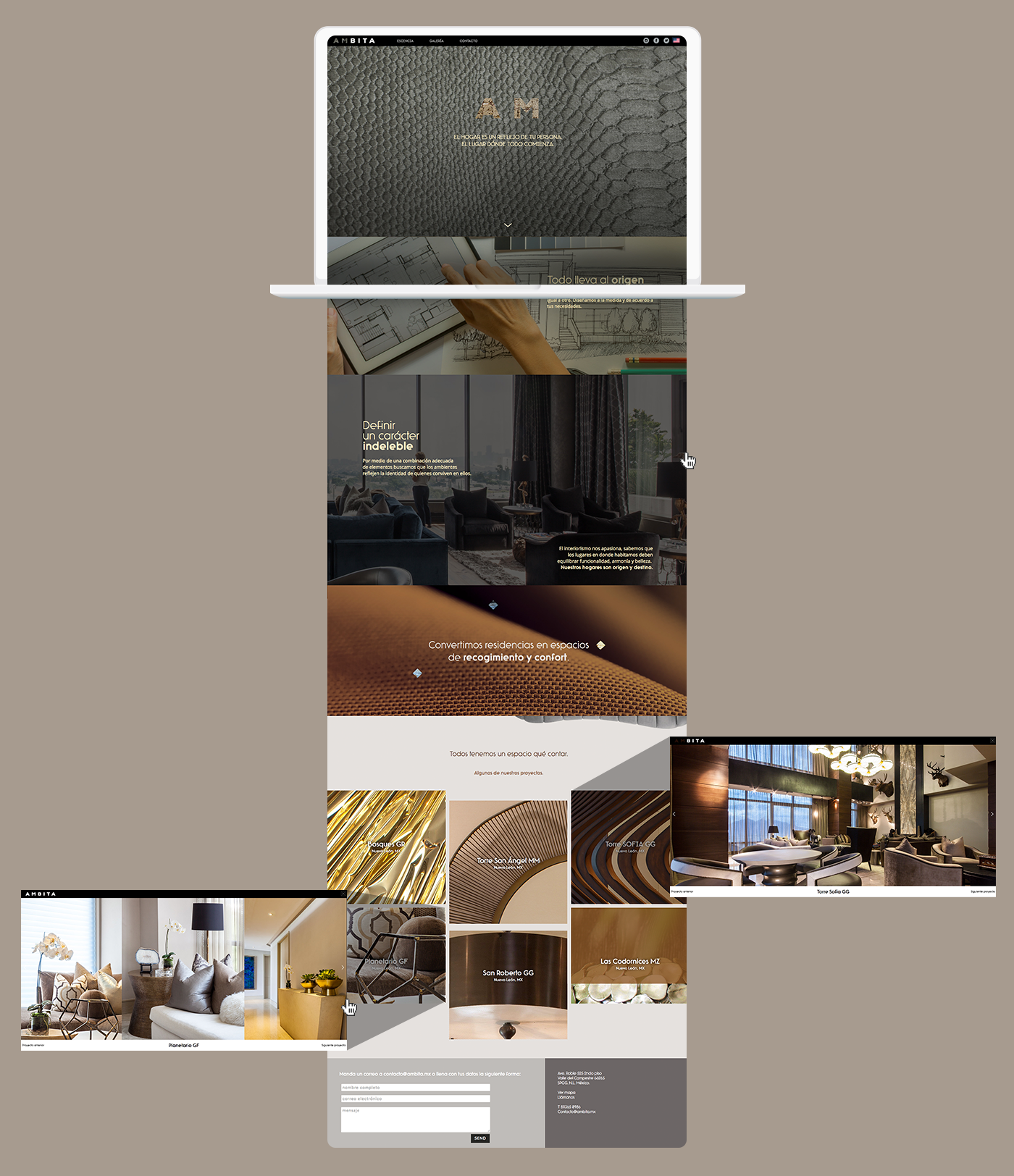 Web Design  branding  identity interior design  pantone monterrey mexico texture