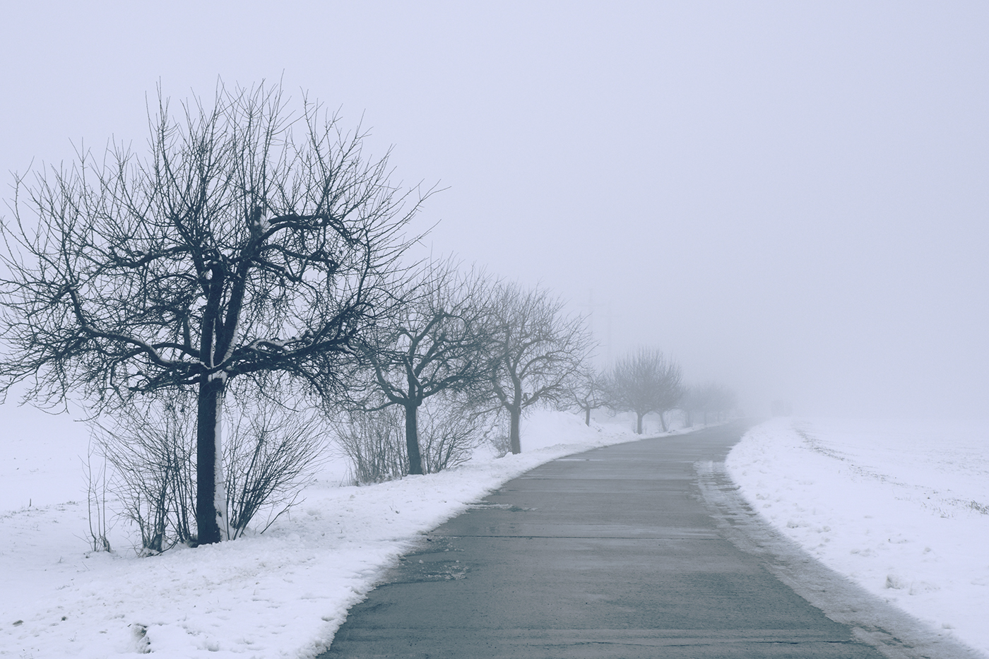 snow winter cold Moody Nature Landscape fog foggy