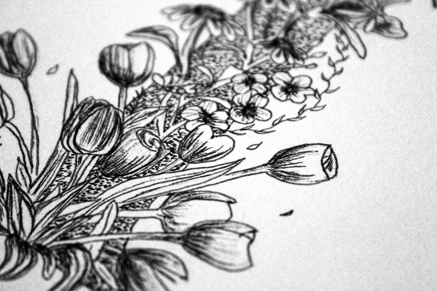 floral Typeface custom typeface Flowers ILLUSTRATION  botanical ink drawing design type line drawing