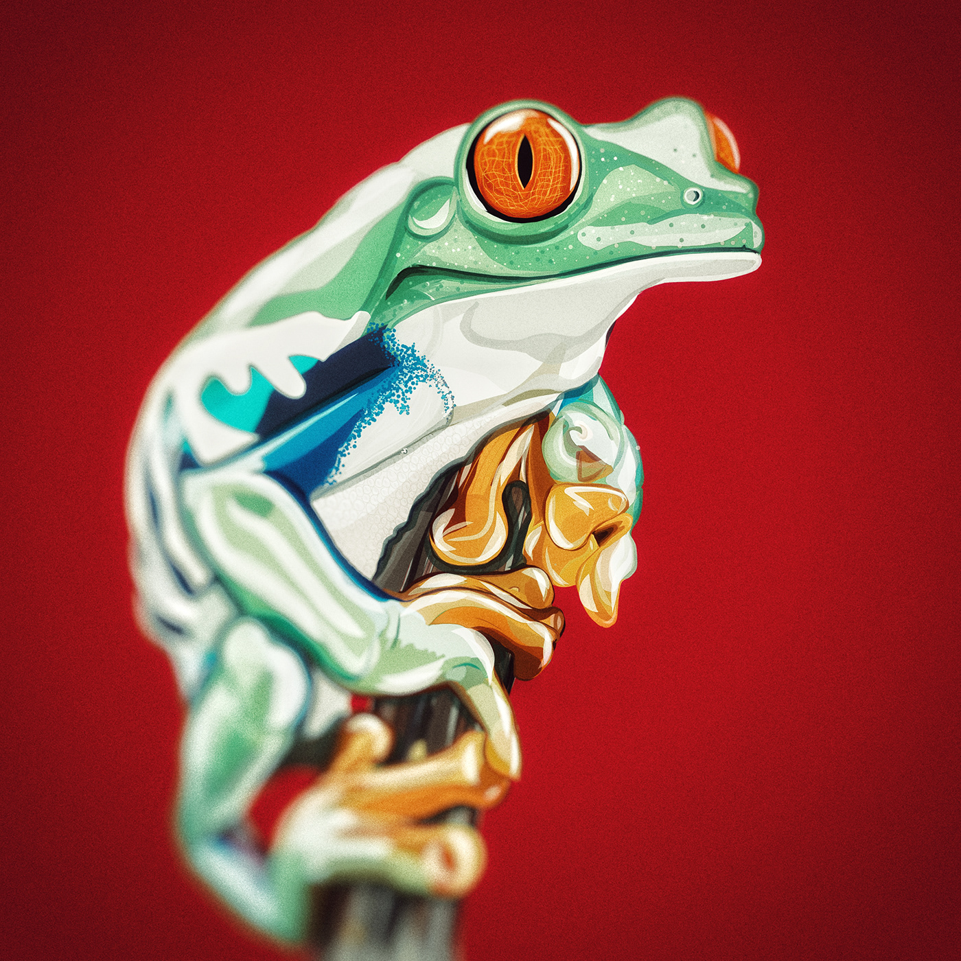olbap olbap design ILLUSTRATION  adobe draw frog Digital Art  Drawing  Amphibian tree frog vector