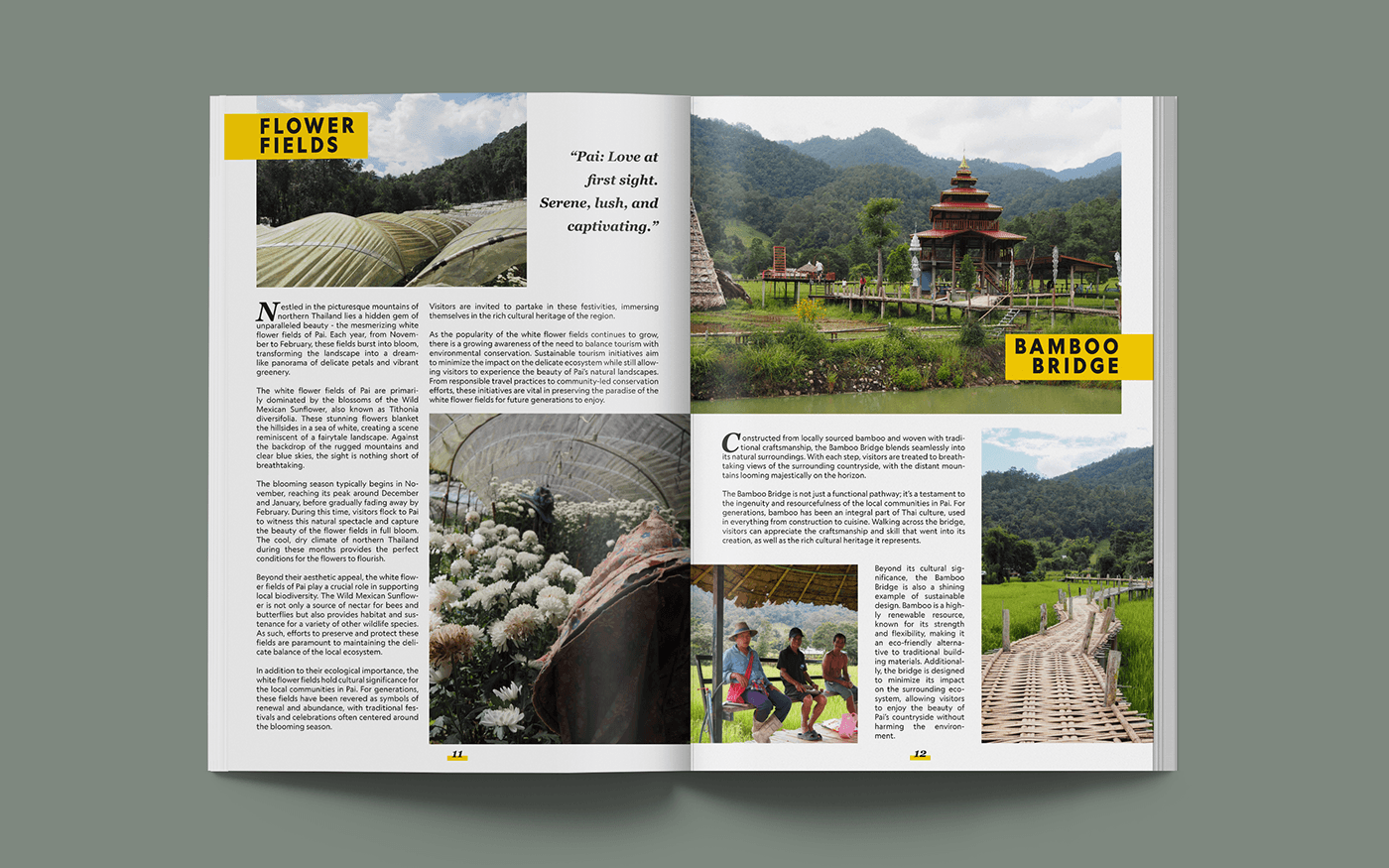 national geographic magazine Magazine design cover Layout Photography  Travel travel photography Nature